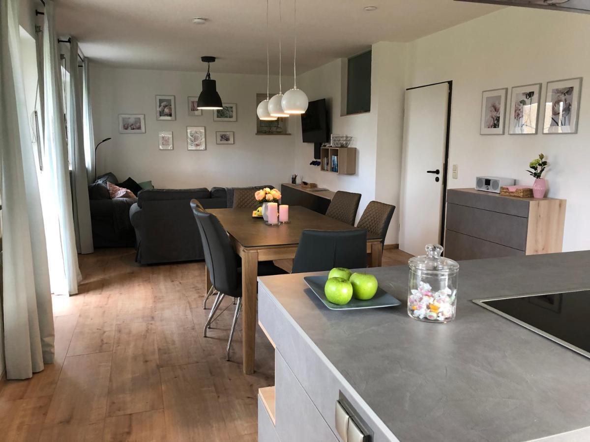 Haus Am Spitalgarten Fuer 10 Personen Gundelfingen an der Donau Exterior photo
