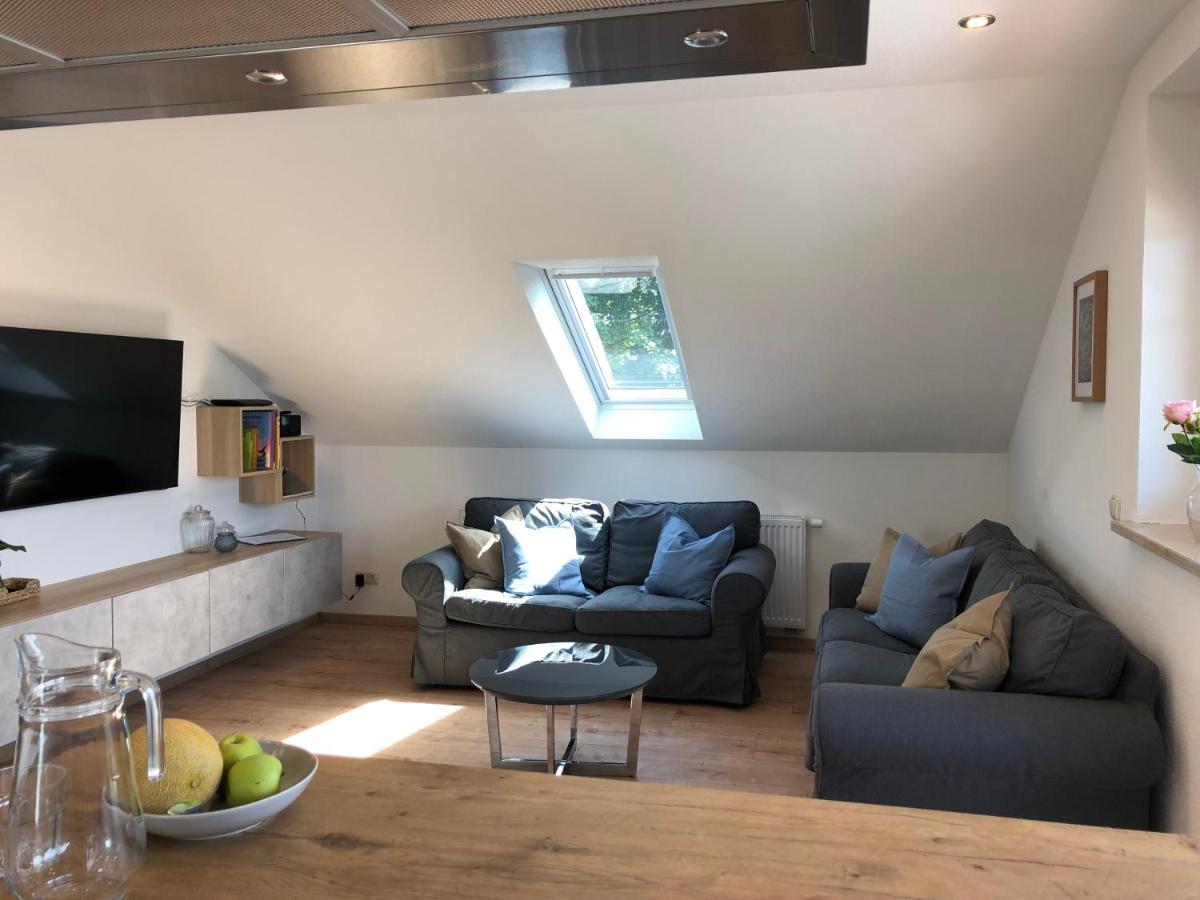Haus Am Spitalgarten Fuer 10 Personen Gundelfingen an der Donau Exterior photo